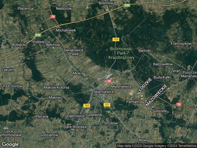 dom wolnostojący, 3 pokoje Skierniewice Widok, ul. Armii Krajowej. Zdjęcie 1