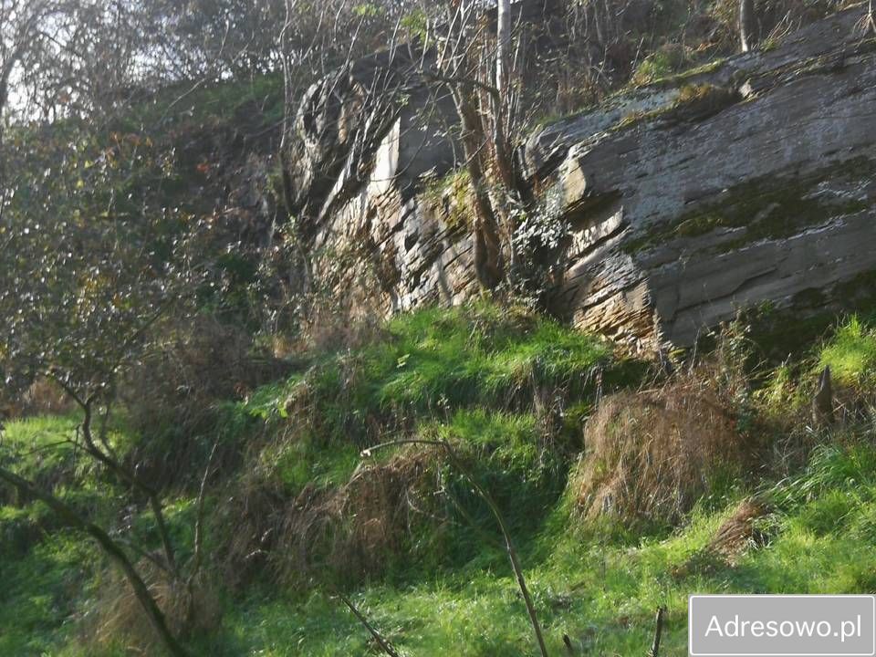 Działka inwestycyjna Jawor. Zdjęcie 4