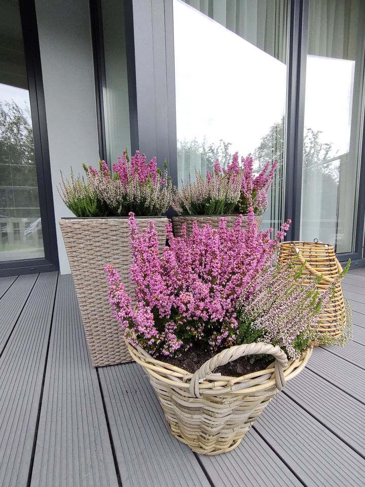 Mieszkanie 3-pokojowe Przemyśl, ul. Marcina Bielskiego. Zdjęcie 9