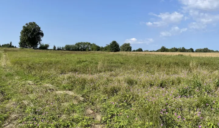 Działka budowlana Gosław