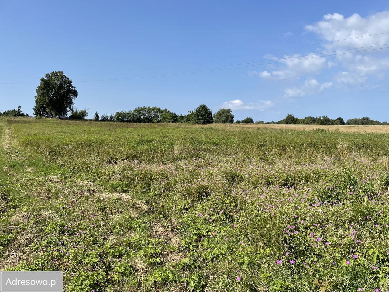 Działka budowlana Gosław