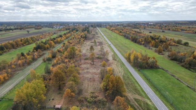 Działka budowlana Jadów. Zdjęcie 1