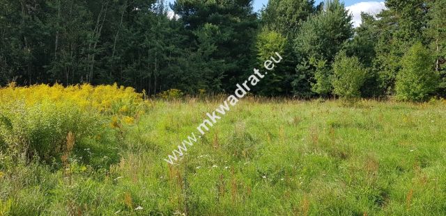 Działka budowlana Książenice. Zdjęcie 1