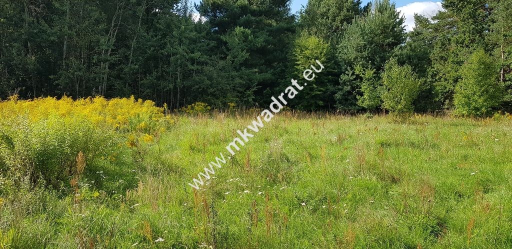 Działka budowlana Książenice. Zdjęcie 1