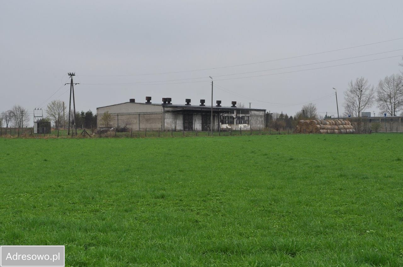 Hala/magazyn Płośnica. Zdjęcie 12