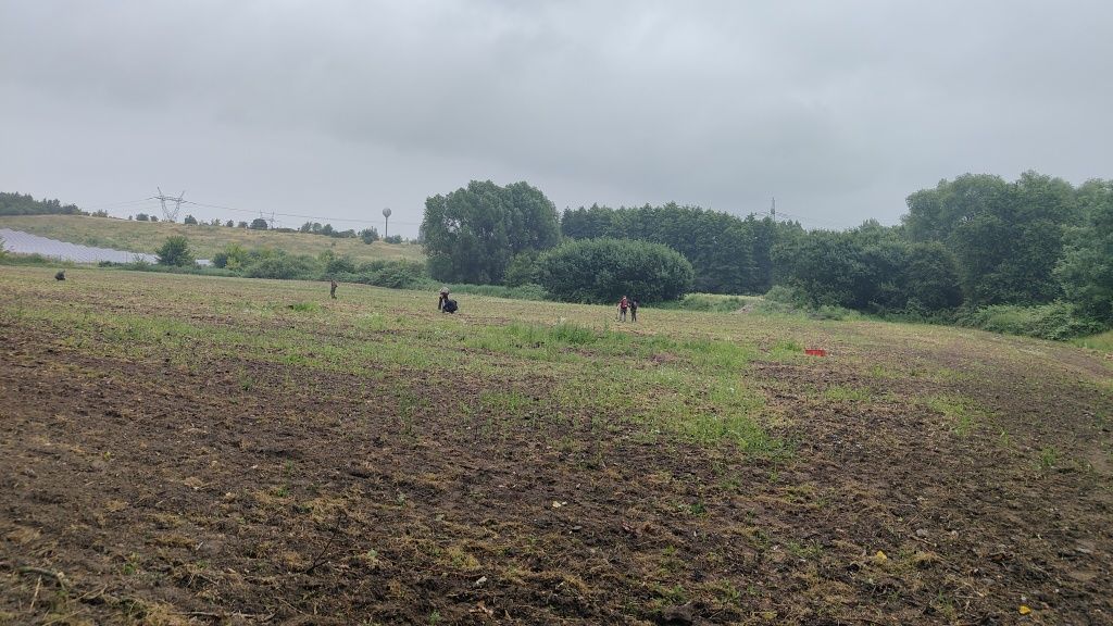 Działka inwestycyjna Stare Czarnowo. Zdjęcie 3