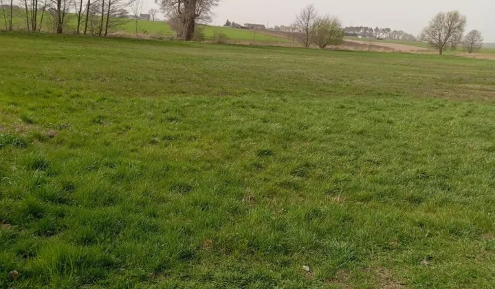 Działka budowlana Gorzyce Małe