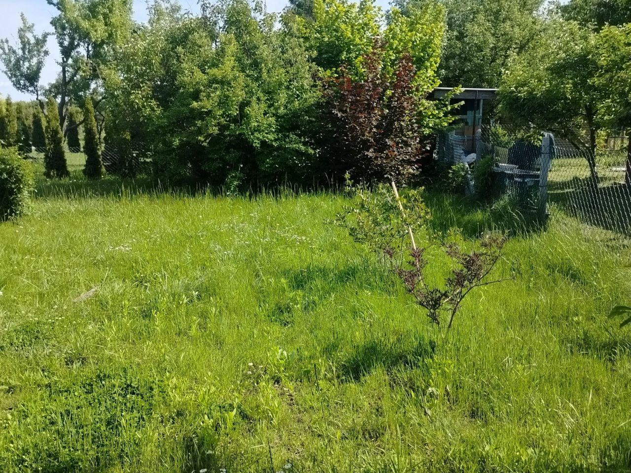 Działka rod Świdniczek. Zdjęcie 6