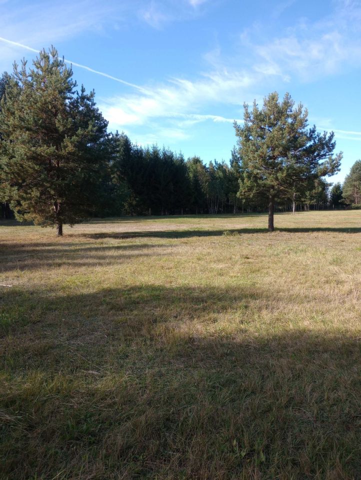 Działka rekreacyjna Radawa. Zdjęcie 7