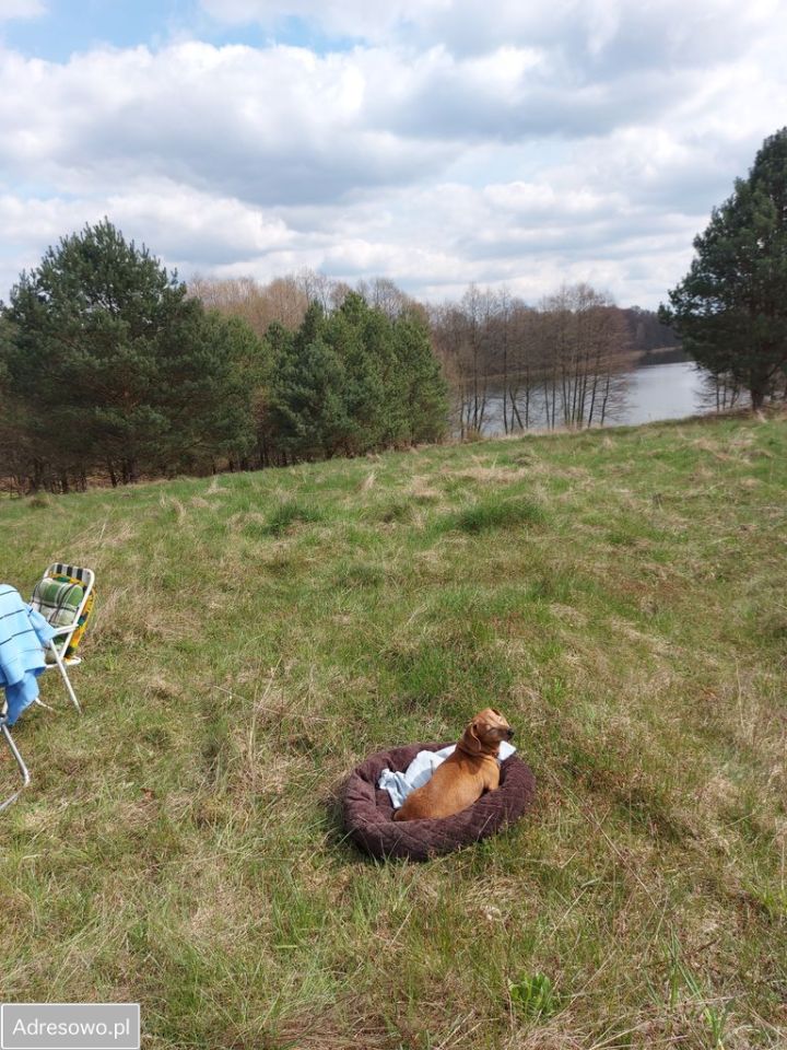 Działka budowlana Pelnik. Zdjęcie 4