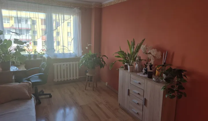 Mieszkanie 3-pokojowe Białogard