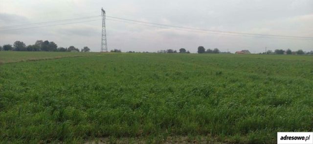 Działka rolno-budowlana Leśce. Zdjęcie 1