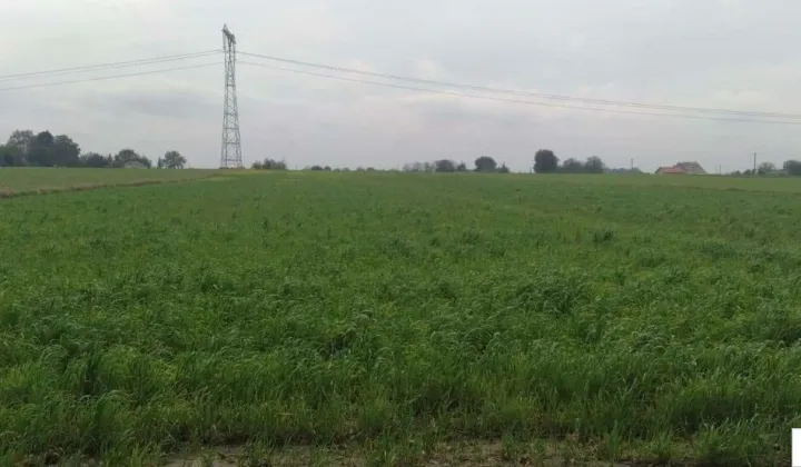 Działka rolno-budowlana Leśce