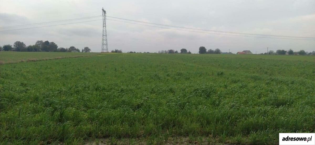 Działka na sprzedaż bez pośredników
Leśce