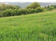 Działka budowlana Ujazd. Zdjęcie 3