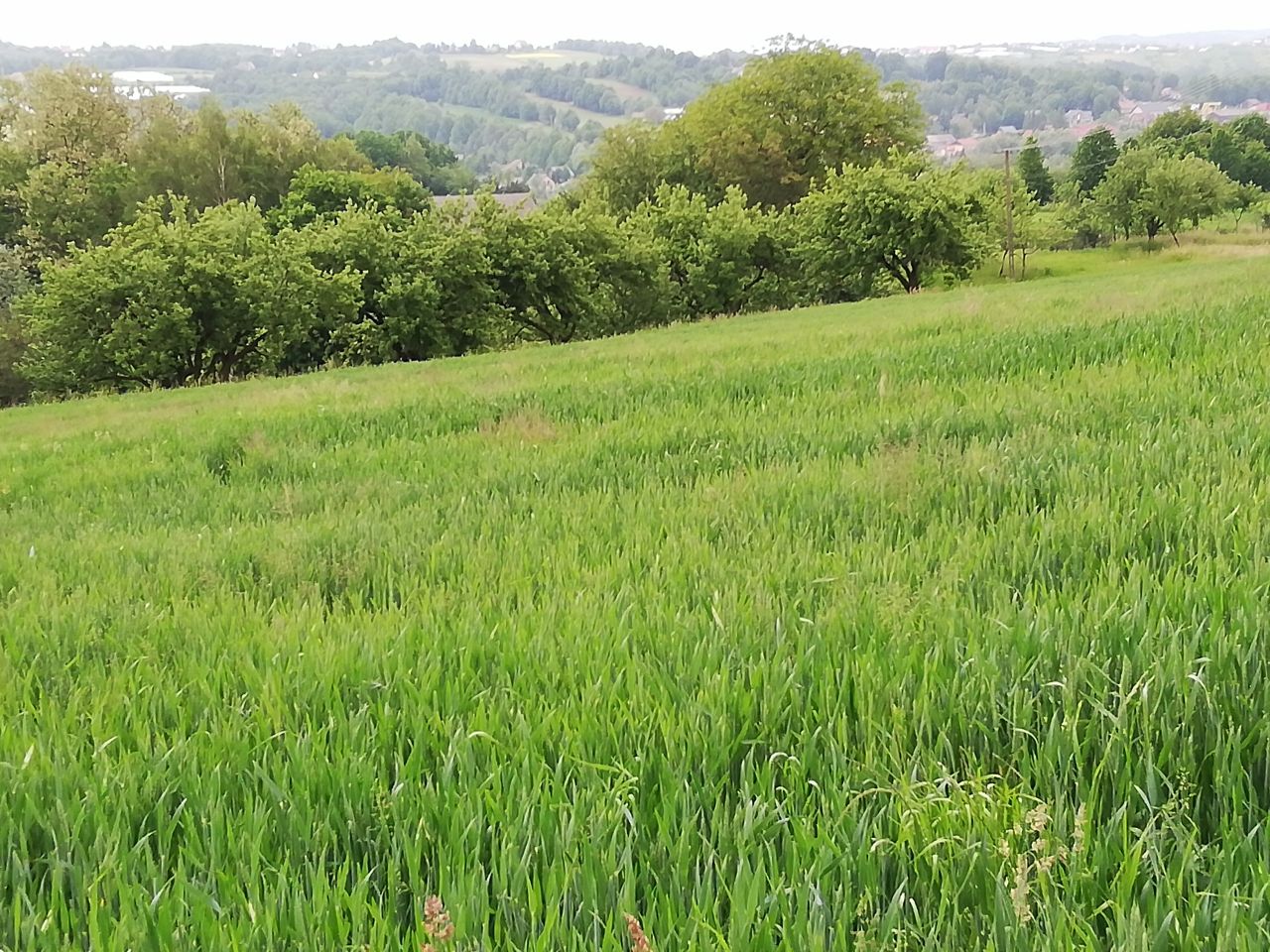 Działka budowlana Ujazd. Zdjęcie 4
