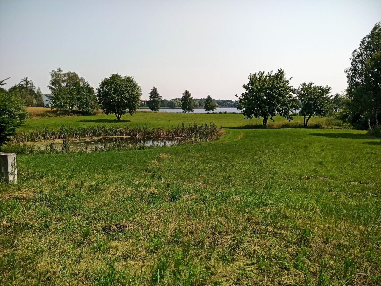 Działka budowlana Lubichowo, ul. Akacjowa. Zdjęcie 8