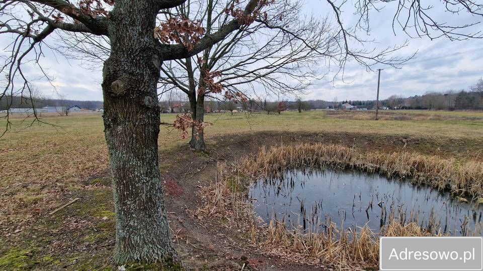Działka inwestycyjna Gąsocin, ul. Pułtuska. Zdjęcie 8