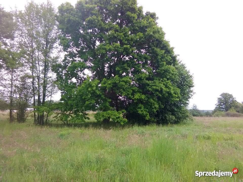 Działka budowlana Żenichów. Zdjęcie 10