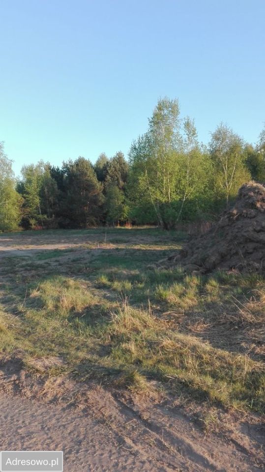 Działka rolno-budowlana Bogucin. Zdjęcie 3