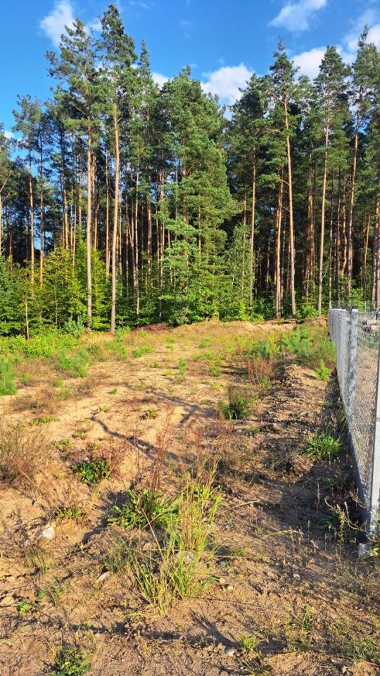 Działka budowlana Krępka. Zdjęcie 3