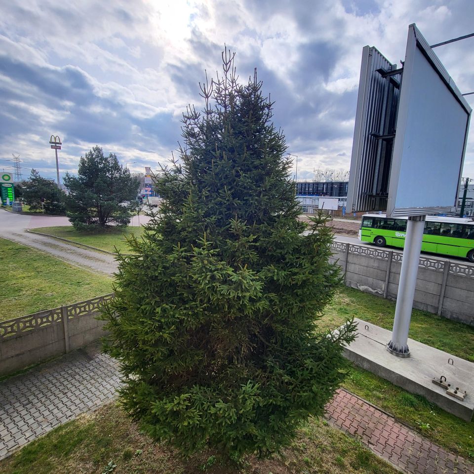 dom wolnostojący, 5 pokoi Bytom Stroszek, ul. Strzelców Bytomskich. Zdjęcie 16