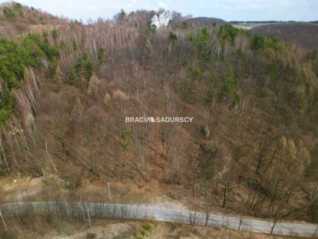 Działka leśna Jerzmanowice, ul. Zachodnia. Zdjęcie 3