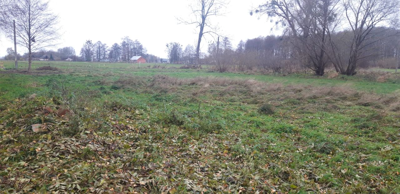 Działka budowlana Łącznica. Zdjęcie 11