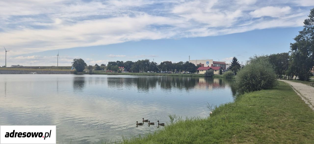 Działka budowlana Pogrzybów. Zdjęcie 6