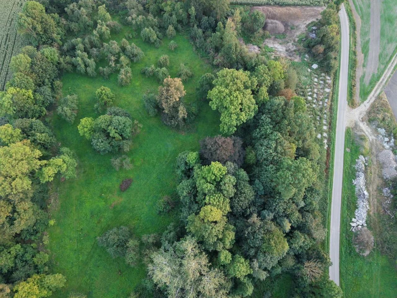 Działka rolna Wiśniewo. Zdjęcie 3