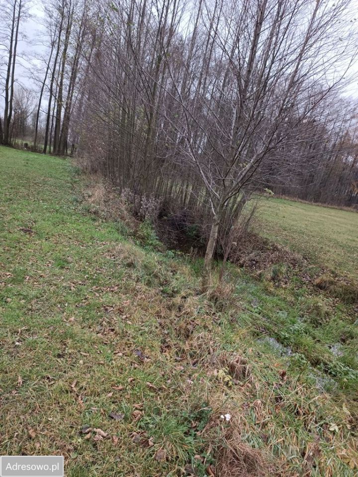 Działka rolna Filochy. Zdjęcie 13