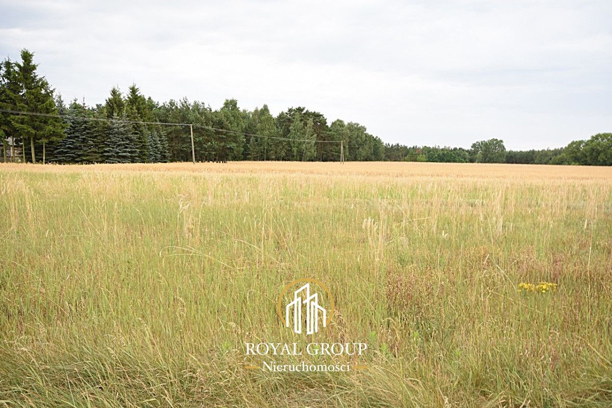 Działka siedliskowa Górka. Zdjęcie 6