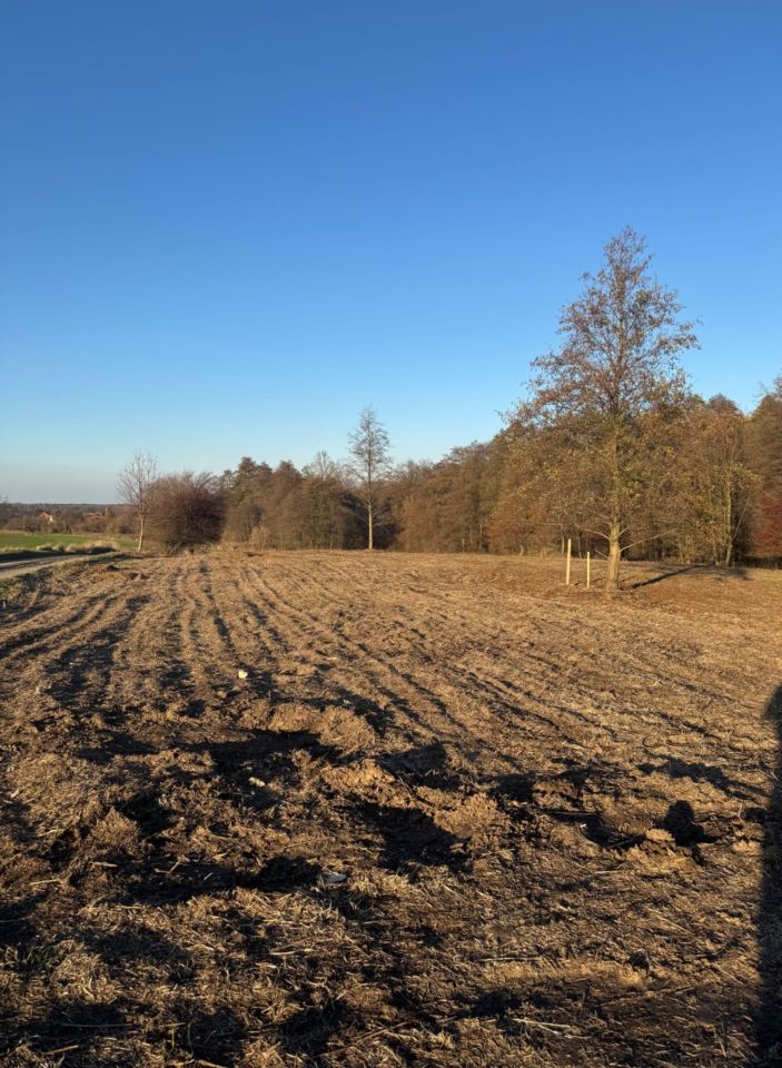 Działka siedliskowa Malczów. Zdjęcie 4