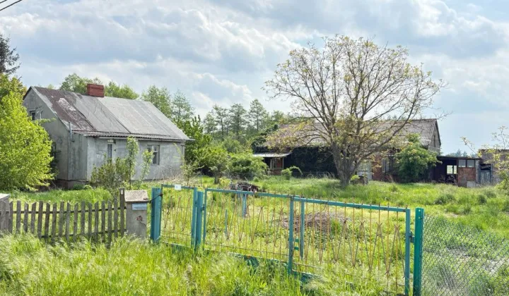 gospodarstwo Rząśno