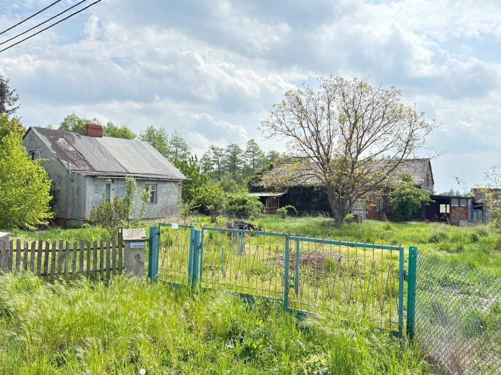 gospodarstwo Rząśno. Zdjęcie 1