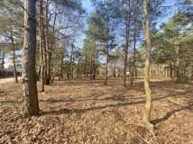 Działka budowlana Sulejówek Miłosna. Zdjęcie 2