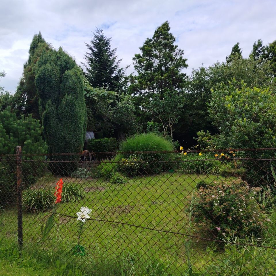 Działka rod Gliwice Stare Gliwice. Zdjęcie 8