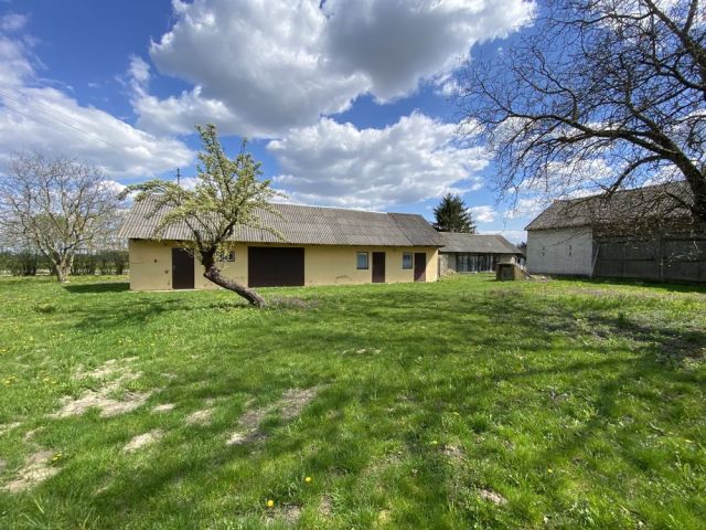 Działka rolno-budowlana Wiśniówek. Zdjęcie 1