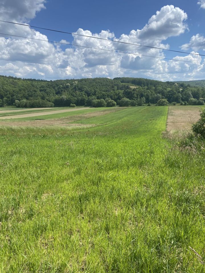 Działka siedliskowa Sielnica. Zdjęcie 2