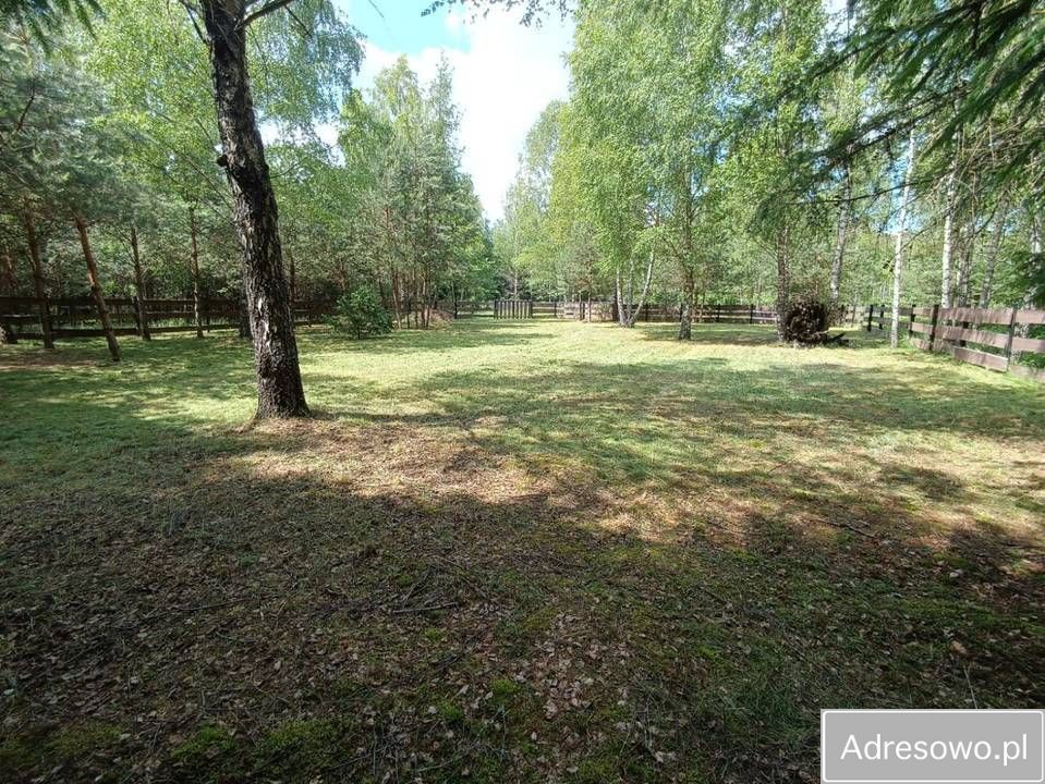 Działka rolna Rekownica. Zdjęcie 8