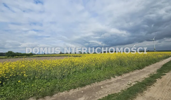 Działka rolna Stefanów