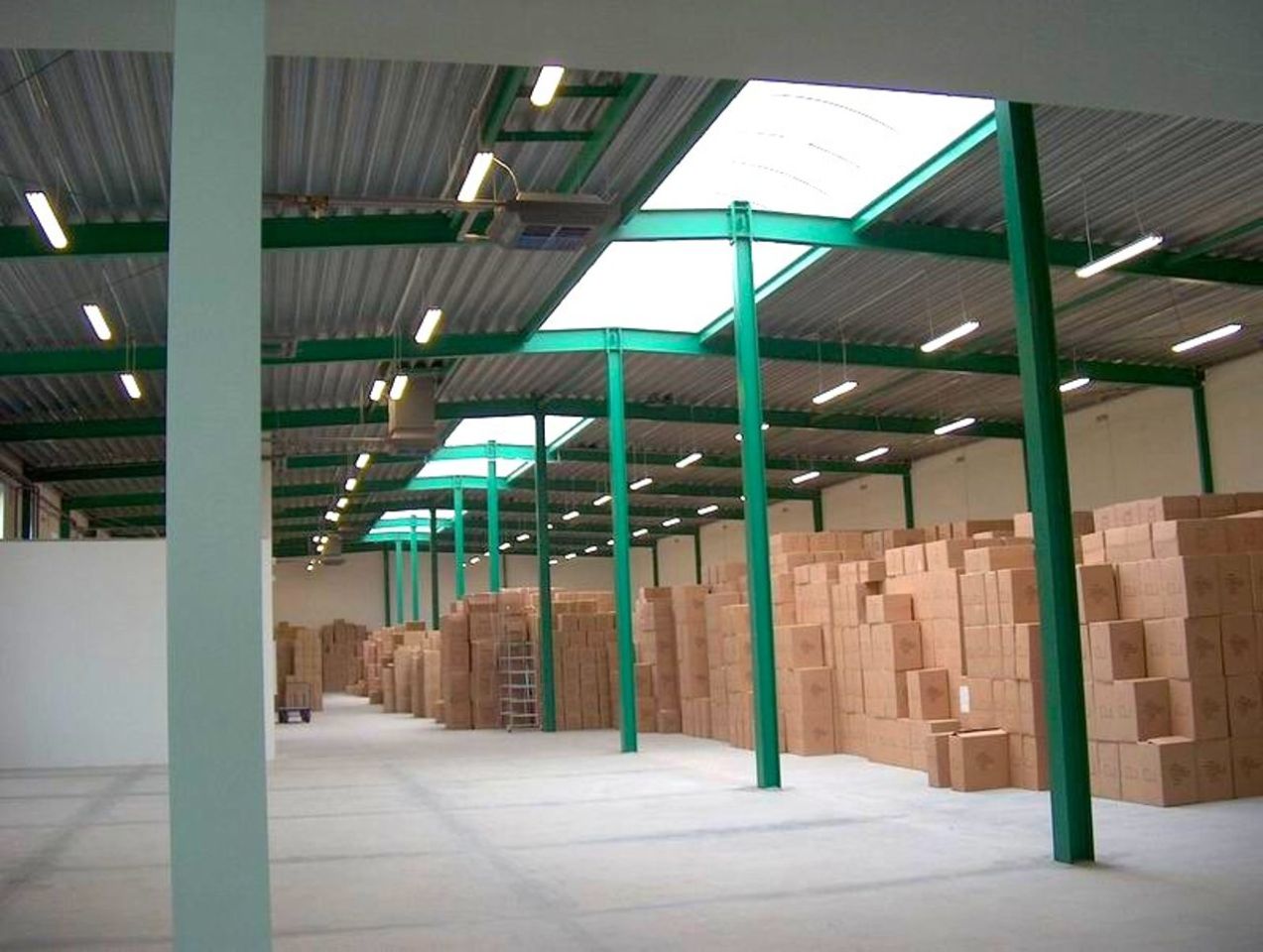 Hala/magazyn Bogucin, ul. Gnieźnieńska. Zdjęcie 12