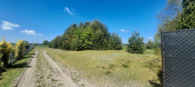 Działka budowlana Dobroń, ul. Zakrzewki. Zdjęcie 1