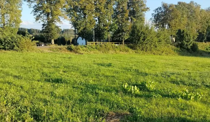 Działka budowlana Rybno