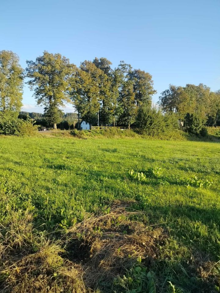 Działka budowlana Rybno. Zdjęcie 1