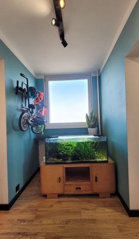 Mieszkanie 3-pokojowe Poznań Winogrady, ul. Księcia Mieszka I. Zdjęcie 15