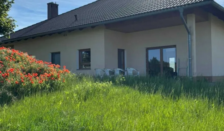 dom wolnostojący Gogolin