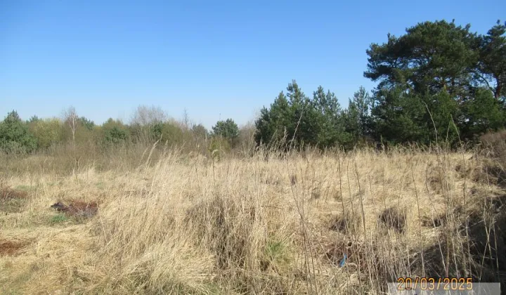 Działka budowlana Kobylanka