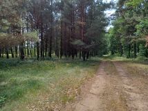 Działka budowlana Prostki Bogusze. Zdjęcie 4