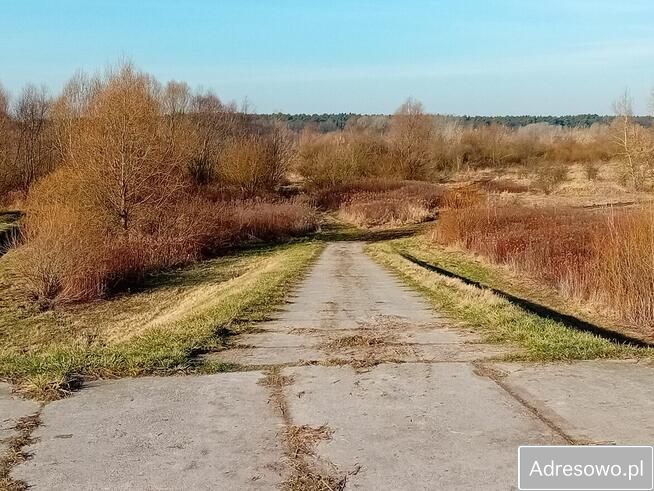 Działka rolna Parchatka. Zdjęcie 14